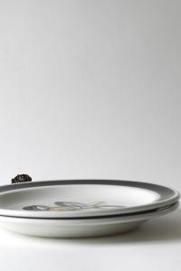 Stavangerflint. Two SENJA plates. design Inger Waage. Plates with Handpainted decor. Stavanger Norway.
