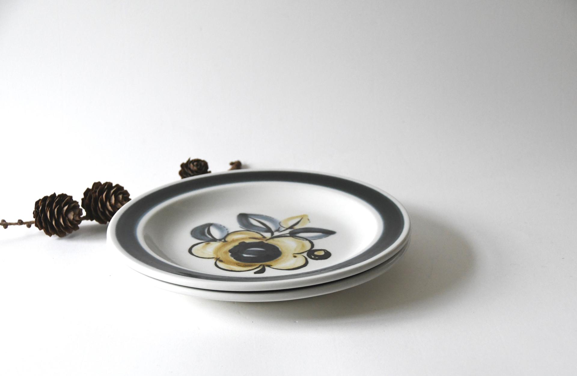 Stavangerflint. Two SENJA plates. design Inger Waage. Plates with Handpainted decor. Stavanger Norway.